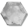 Silver Paper Plates